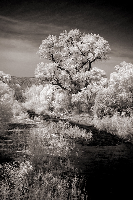 White River View 2 Fort Apache, AZ � Dave Hickey